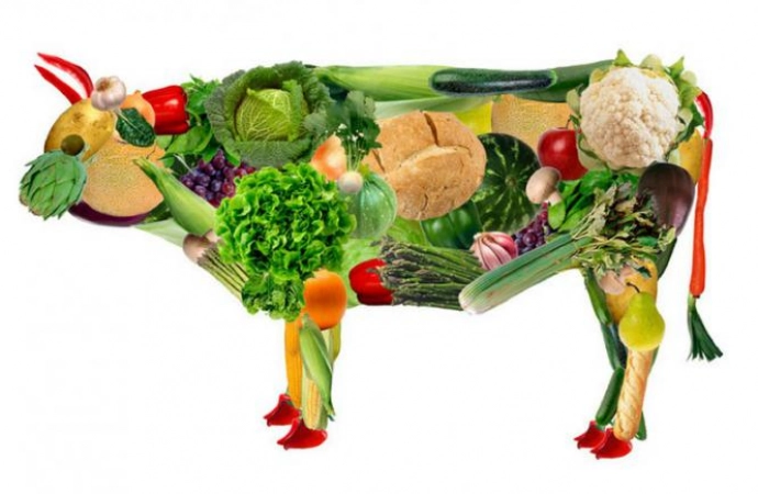 Zalety diety wegetariańskiej
